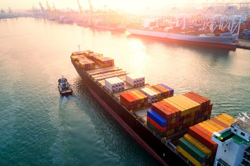 5大區(qū)塊鏈項目重塑供應鏈管理 透明、高效與信任的新范式